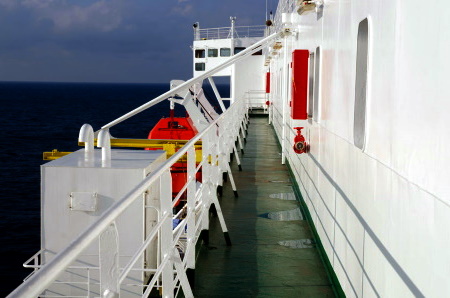 can you take dogs on p o ferries