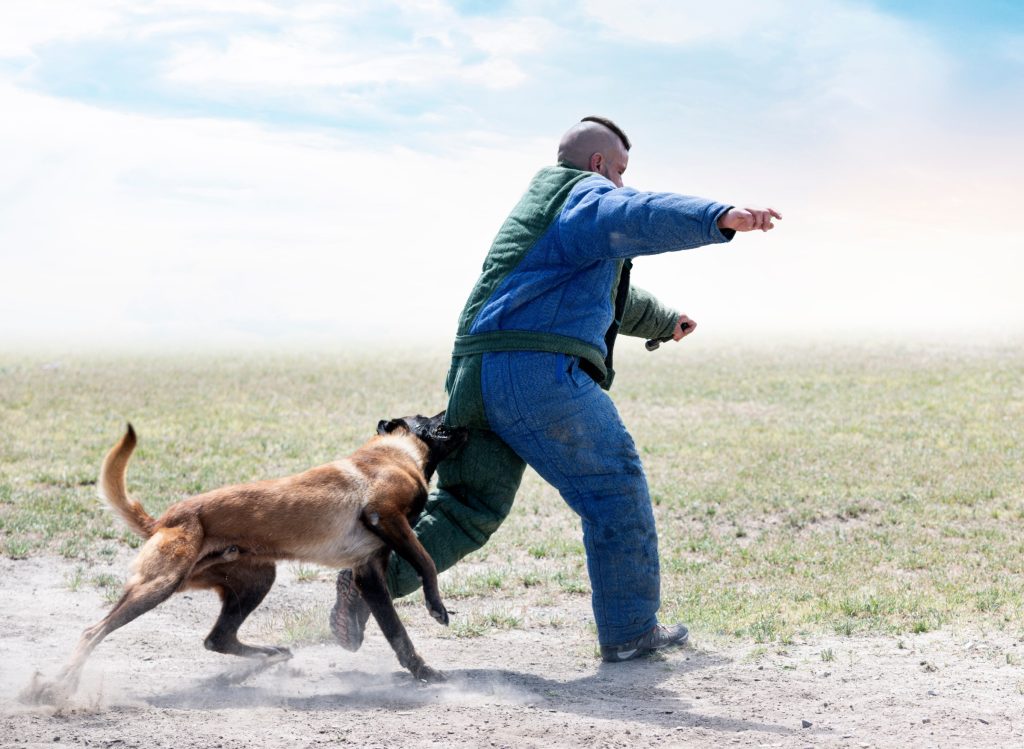 a dog attacking a man  